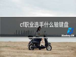 cf职业选手什么轴键盘