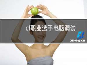 cf职业选手电脑调试