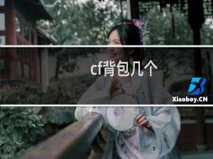 cf背包几个