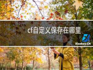 cf自定义保存在哪里