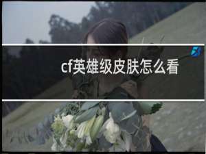 cf英雄级皮肤怎么看