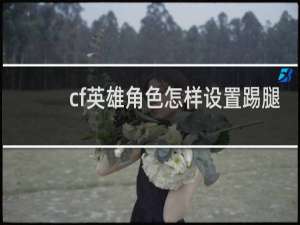 cf英雄角色怎样设置踢腿