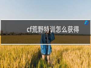 cf荒野特训怎么获得