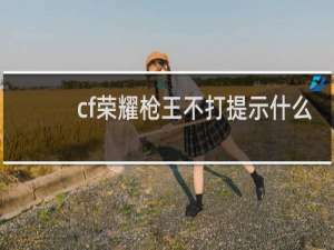 cf荣耀枪王不打提示什么