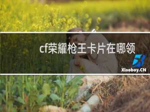 cf荣耀枪王卡片在哪领