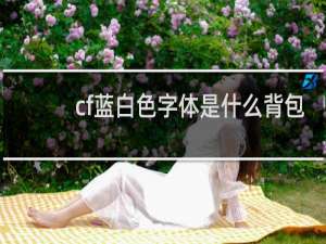 cf蓝白色字体是什么背包