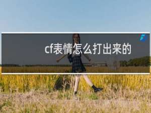 cf表情怎么打出来的