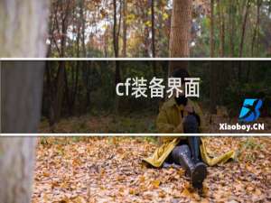 cf装备界面