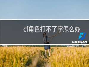 cf角色打不了字怎么办