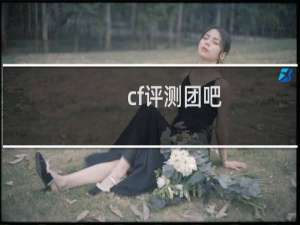 cf评测团吧