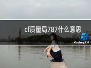 cf质量局787什么意思