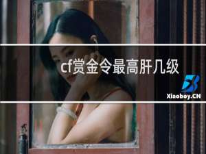 cf赏金令最高肝几级
