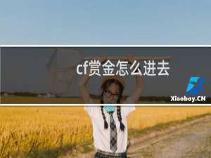 cf赏金怎么进去