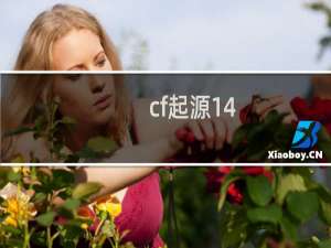 cf起源14