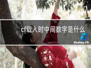 cf载入时中间数字是什么