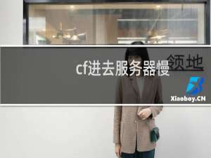 cf进去服务器慢