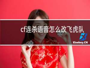 cf连杀语音怎么改飞虎队