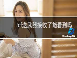 cf送武器接收了能看到吗