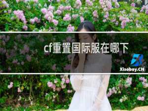 cf重置国际服在哪下