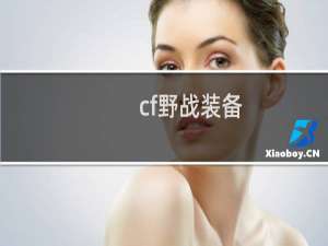 cf野战装备