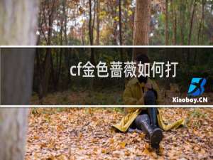 cf金色蔷薇如何打