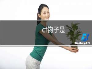 cf钩子是