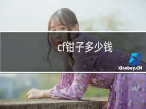 cf钳子多少钱