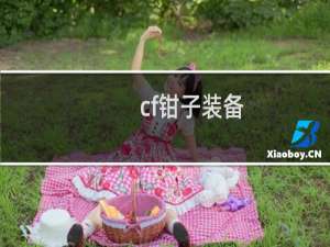 cf钳子装备