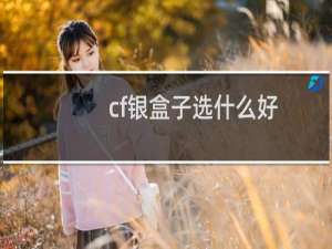 cf银盒子选什么好