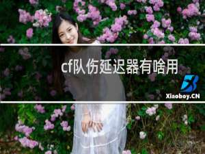 cf队伤延迟器有啥用