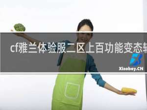 cf雅兰体验服二区上百功能变态辅助
