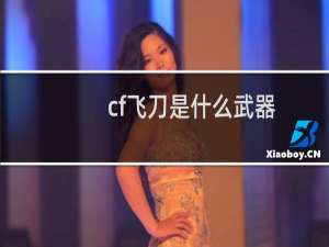 cf飞刀是什么武器