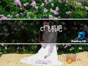 cf飞机吧