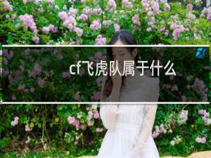 cf飞虎队属于什么