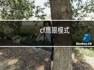 cf鹰眼模式
