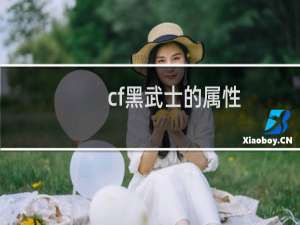 cf黑武士的属性