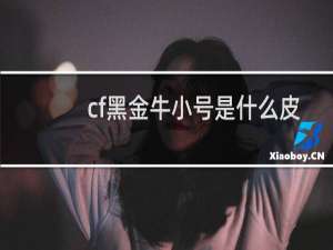 cf黑金牛小号是什么皮