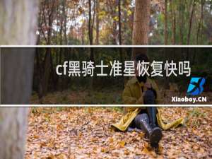 cf黑骑士准星恢复快吗