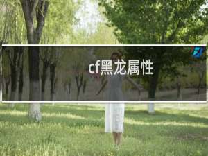 cf黑龙属性