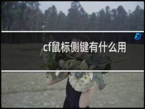 cf鼠标侧键有什么用