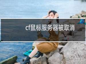 cf鼠标服务器被取消