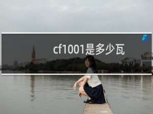 cf1001是多少瓦