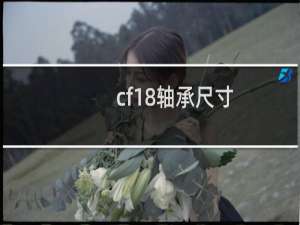 cf18轴承尺寸