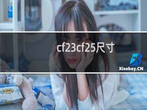 cf23cf25尺寸