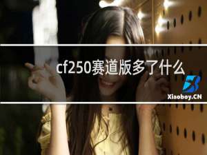 cf250赛道版多了什么
