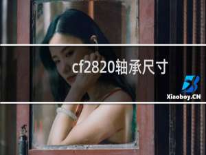 cf28 轴承尺寸