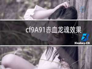 cf9A91赤血龙魂效果