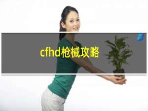 cfhd枪械攻略