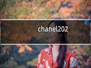 chanel 2.55和cf的尺寸