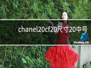 chanel cf 尺寸 中号